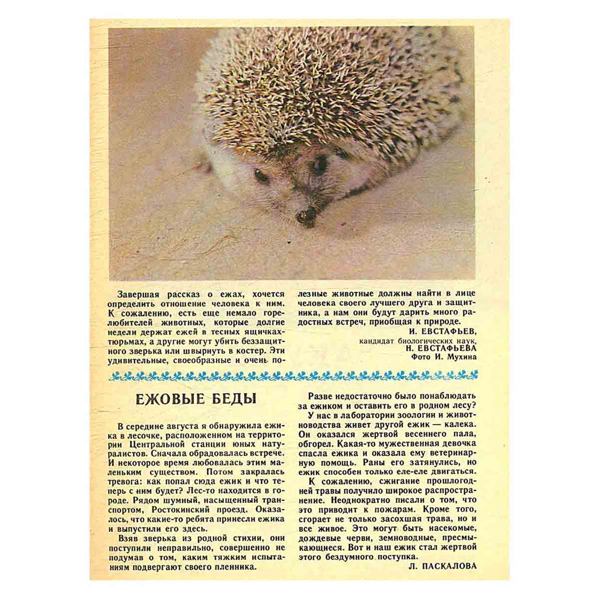 Журнал "Юный натуралист". Выпуск 9/ 1988 год