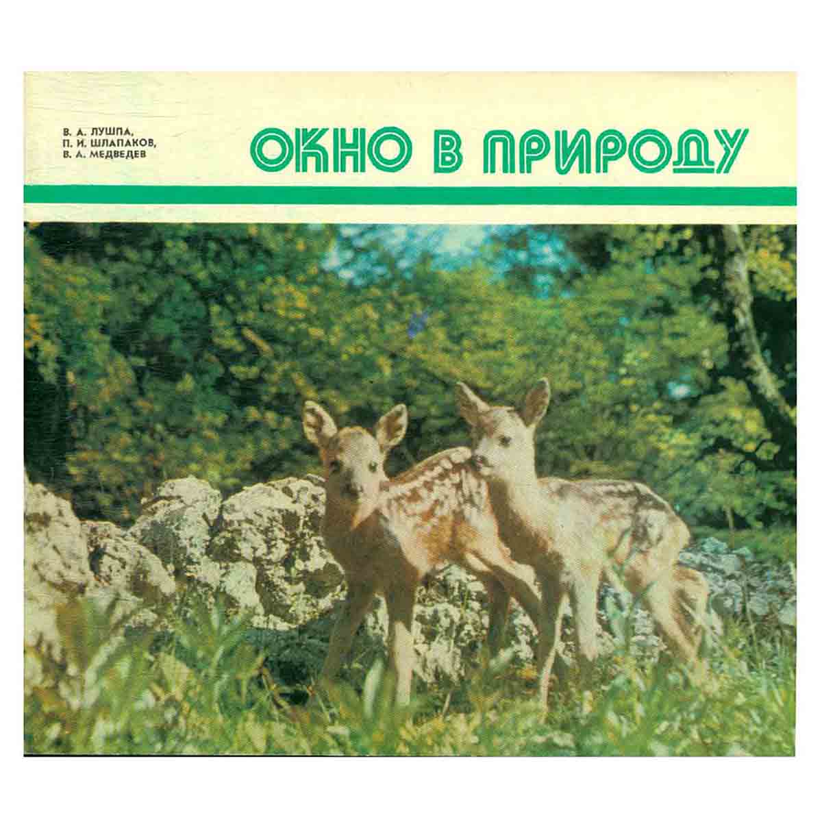 Окно в природу