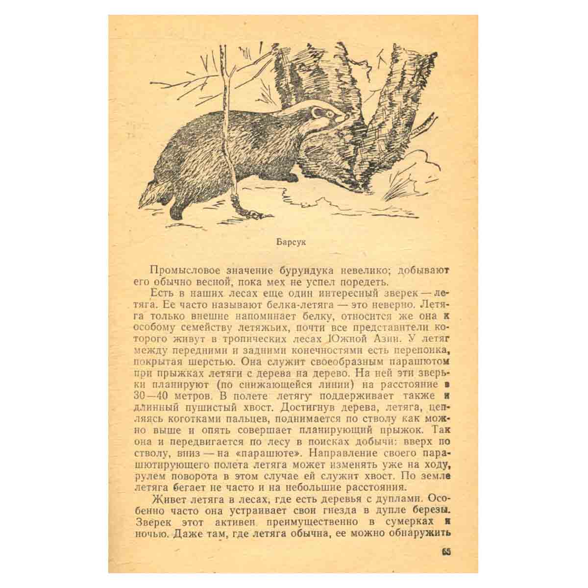 Удивительный мир природы