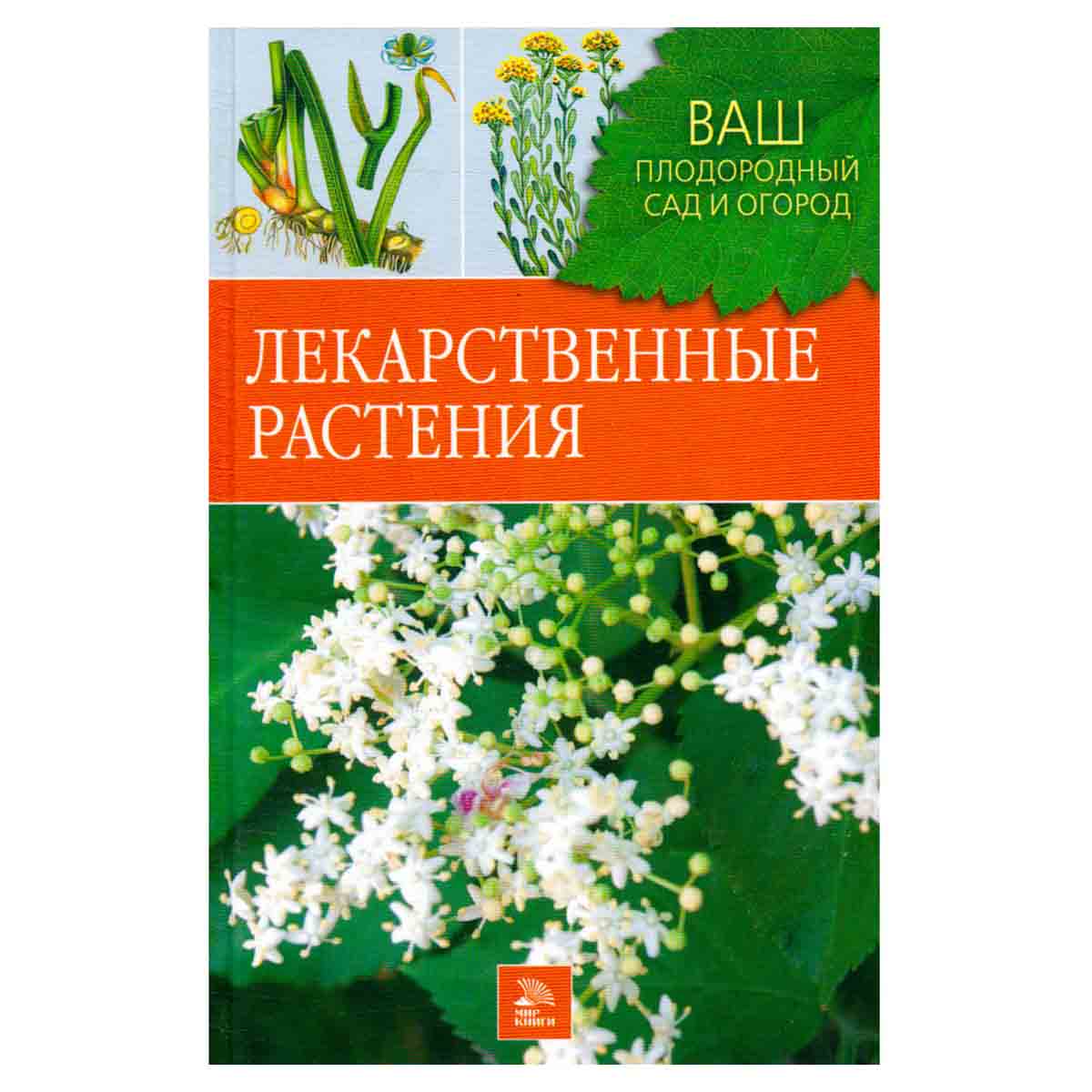 Лекарственные растения