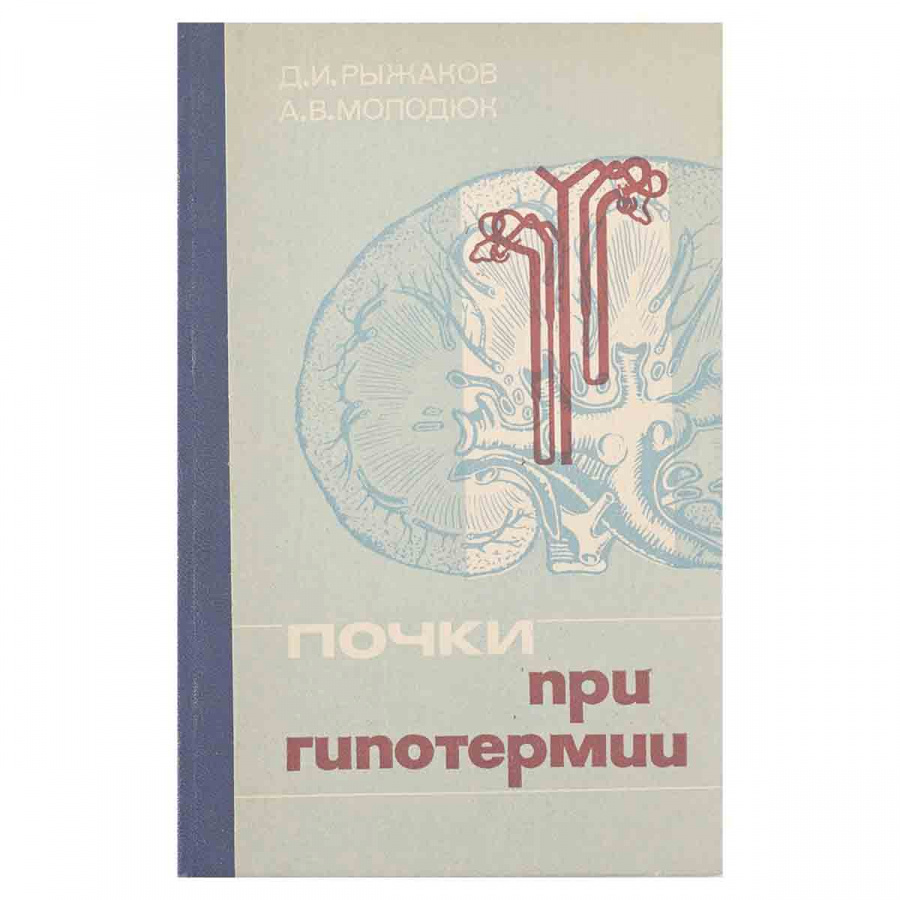 фото Почки при гипотермии