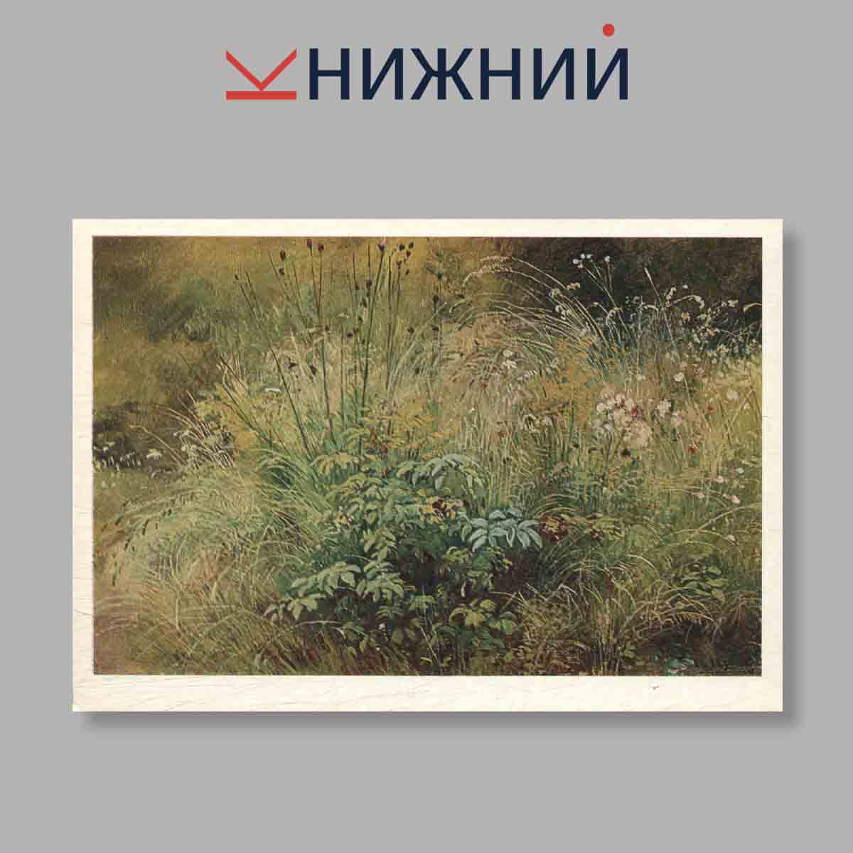 Набор открыток. "Shishikin"