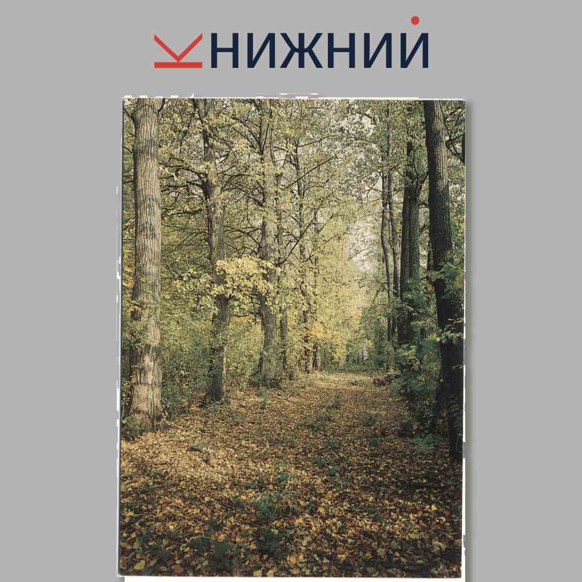 Набор открыток. Болдино.