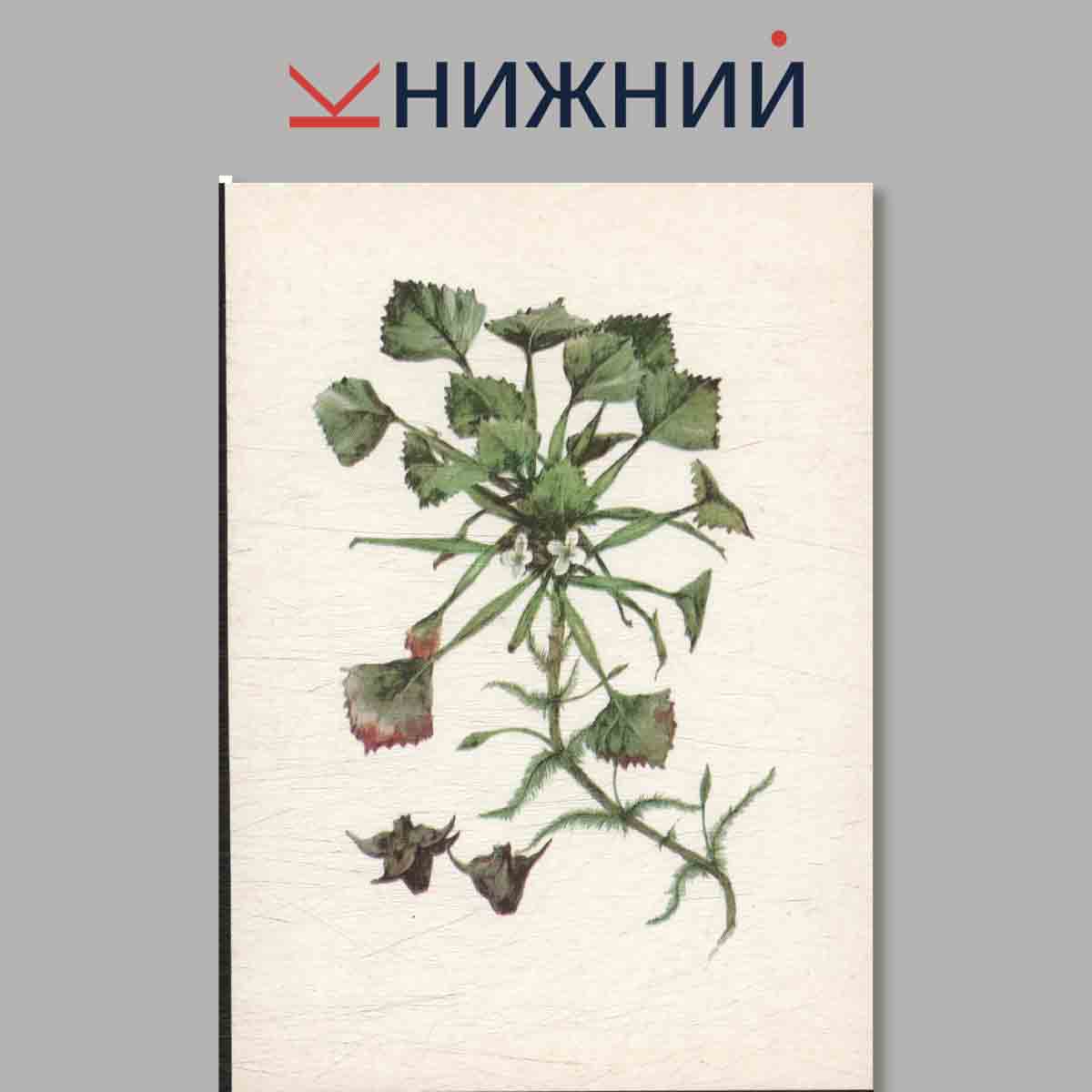 Растения под охраной.