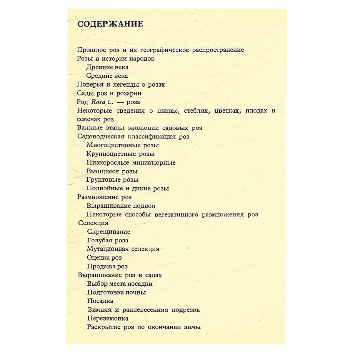 Розы