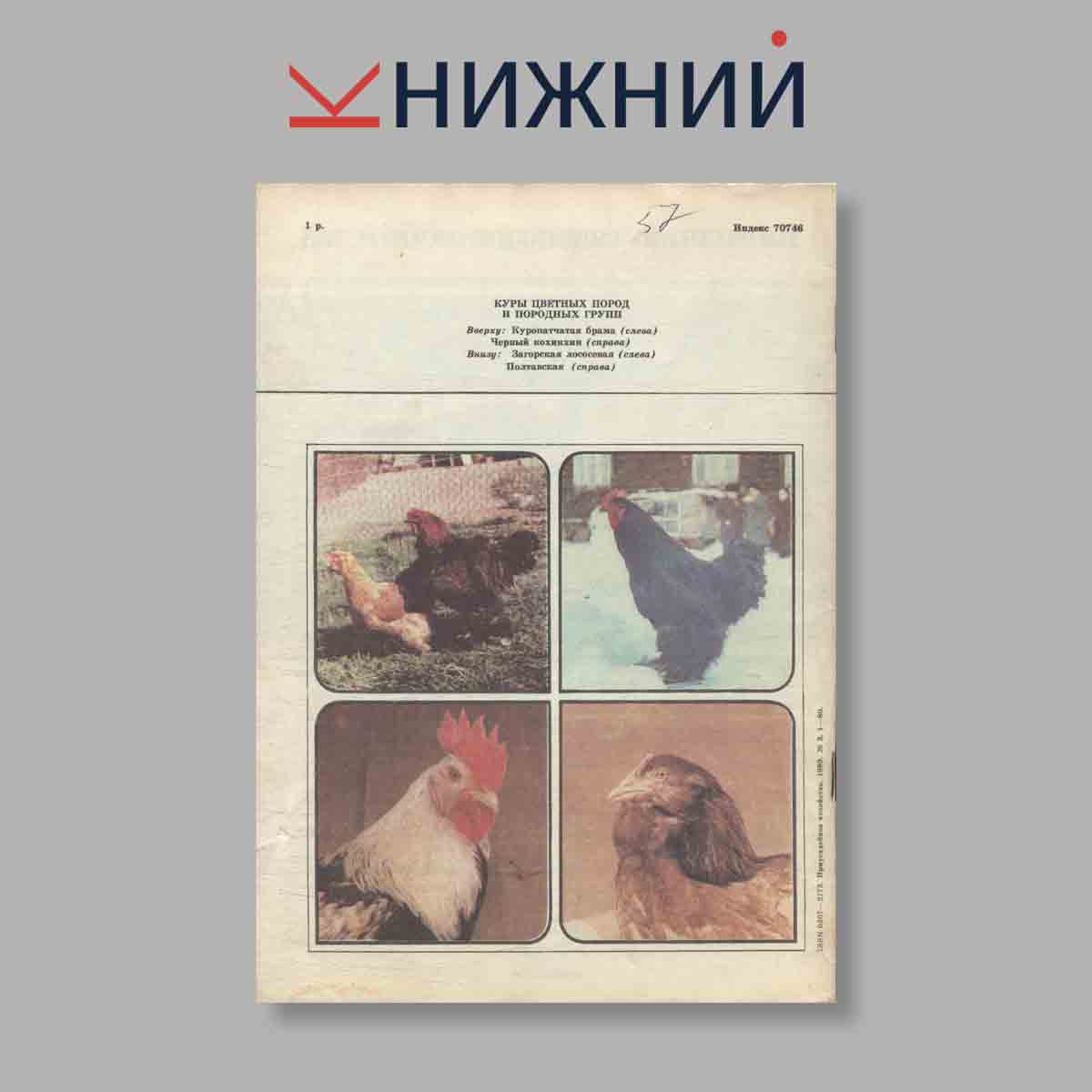 Журнал Приусадебное хозяйство.Выпуск №3 1989 год
