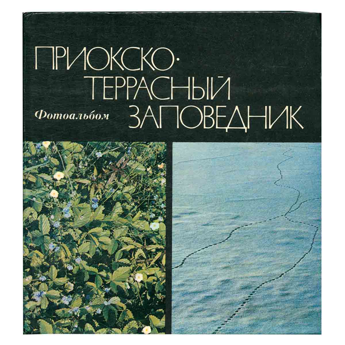 Приокско-террасный заповедник. Фотоальбом