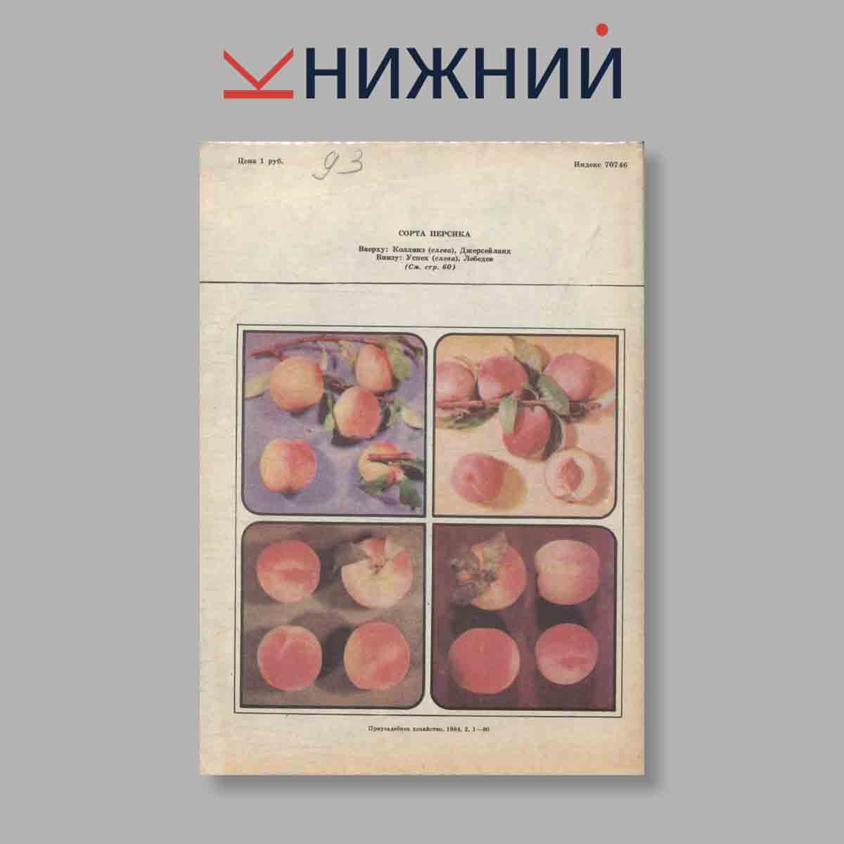 Журнал "Приусадебное хозяйство". Выпуск 2, 1984 год