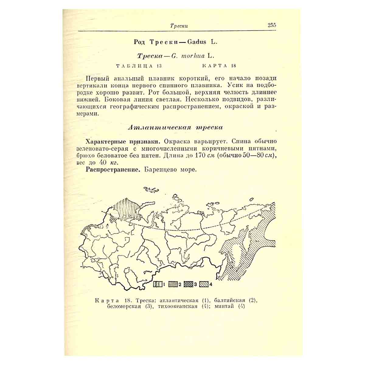 Рыбы СССР
