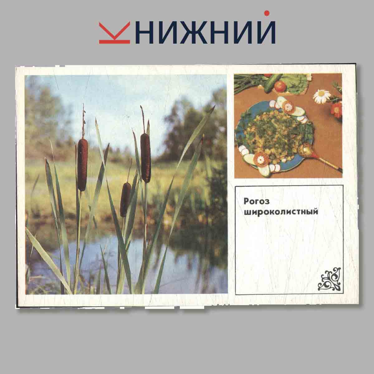 Набор открыток. Soviet Porcelain.