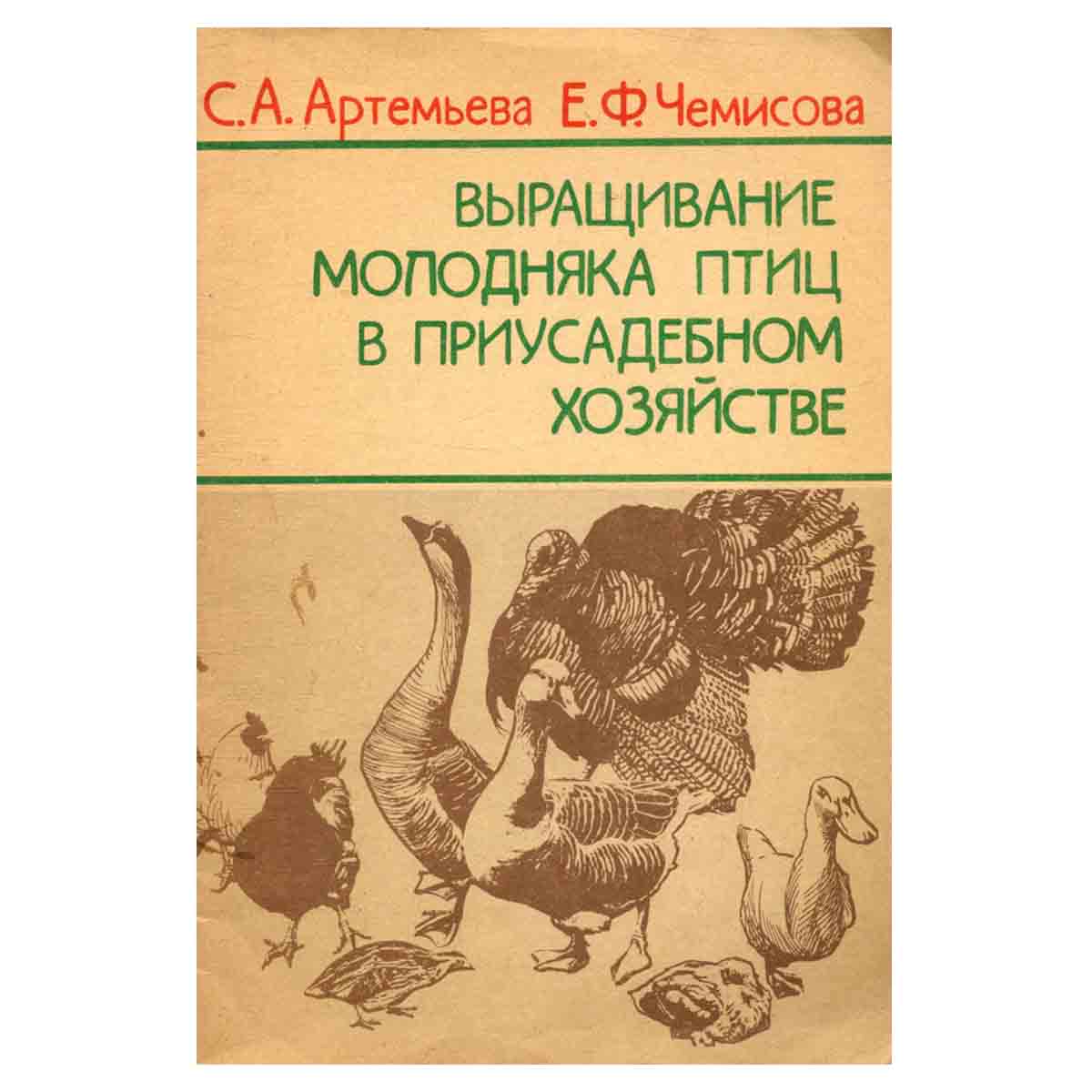 Выращивание молодняка птиц в приусадебном хозяйстве