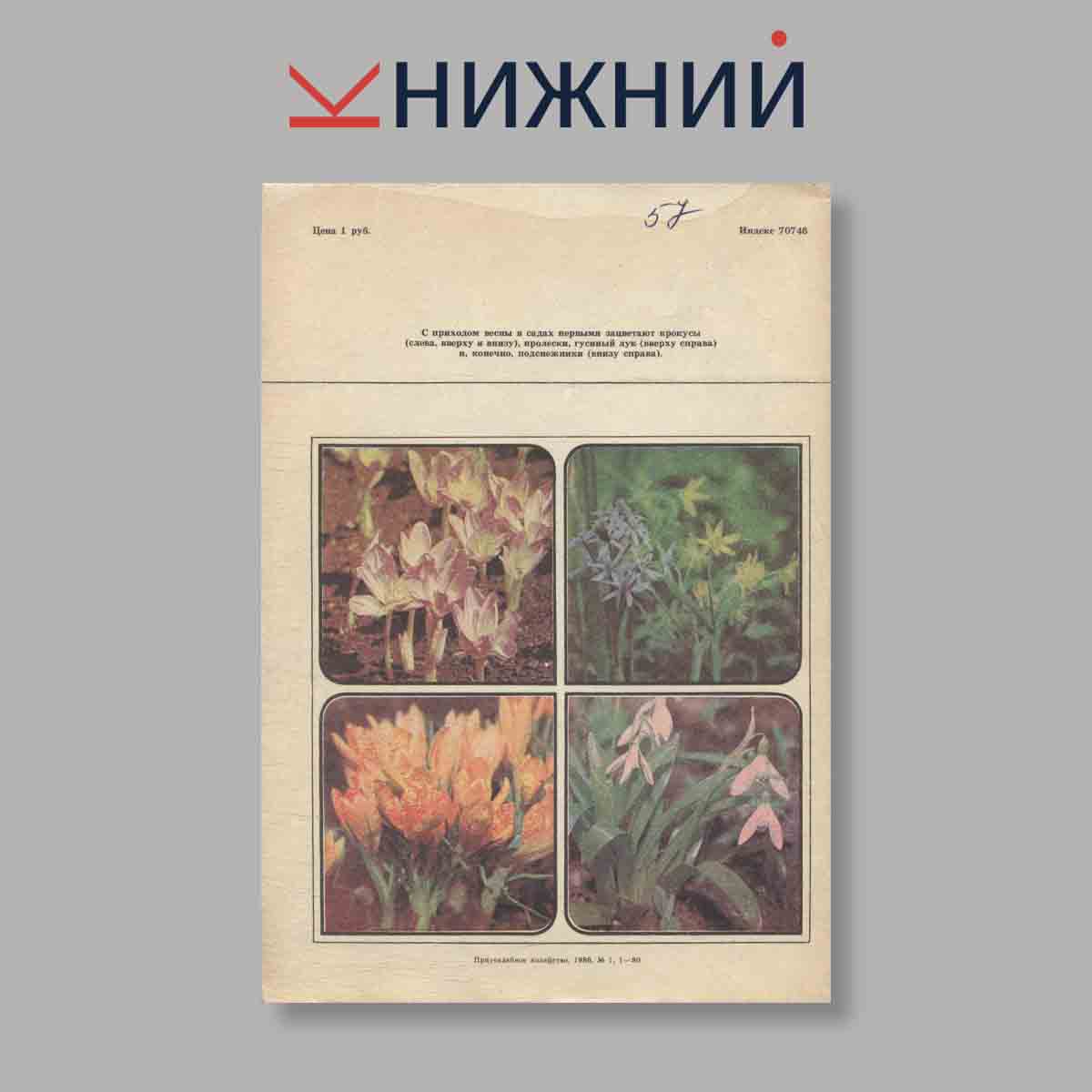 Журнал Приусадебное хозяйство. Выпуск № 1, 1986