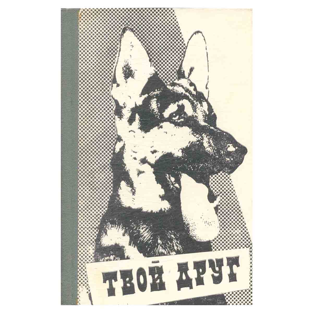 Твой друг
