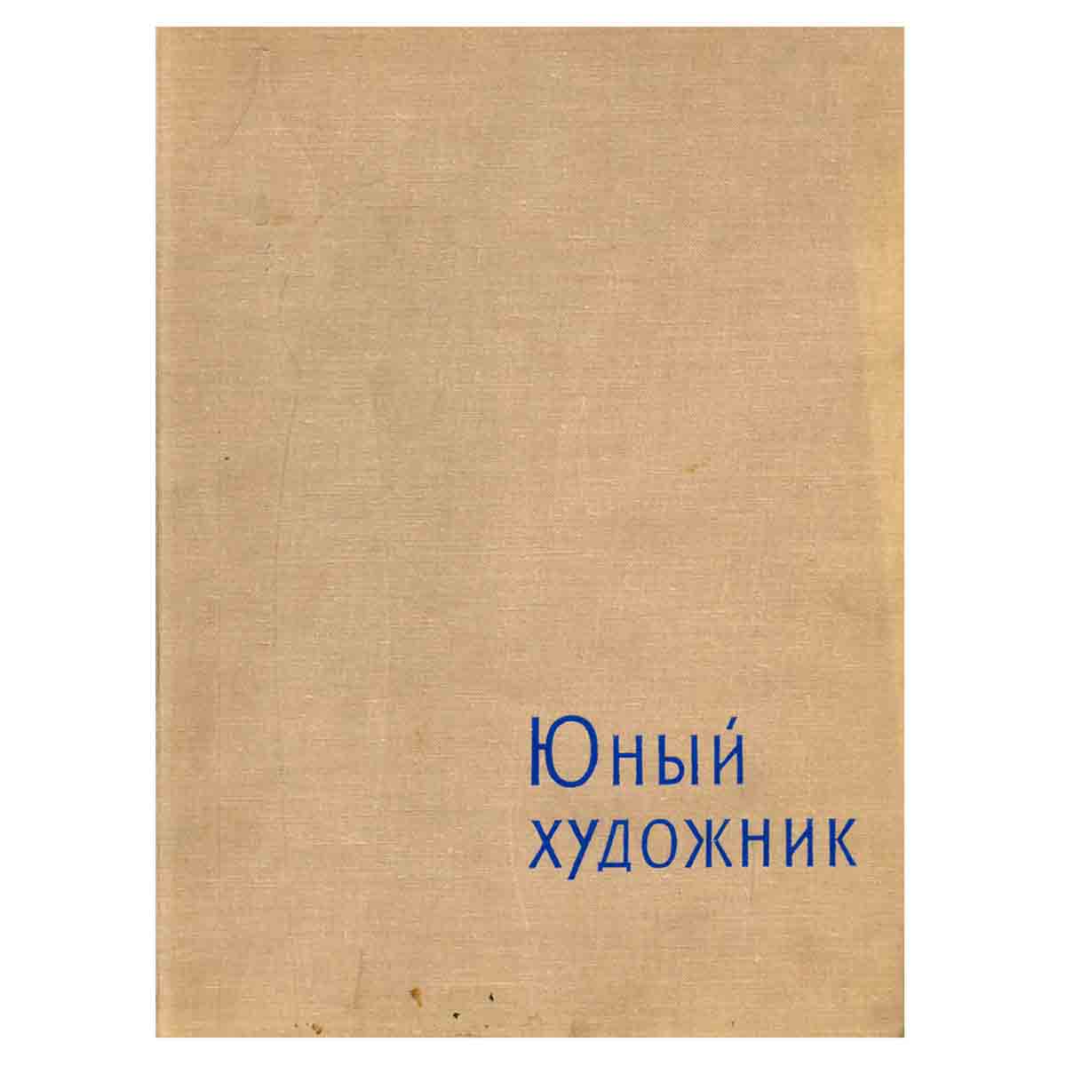 Юный художник