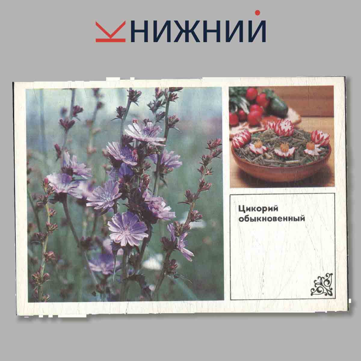 Набор открыток. Soviet Porcelain.