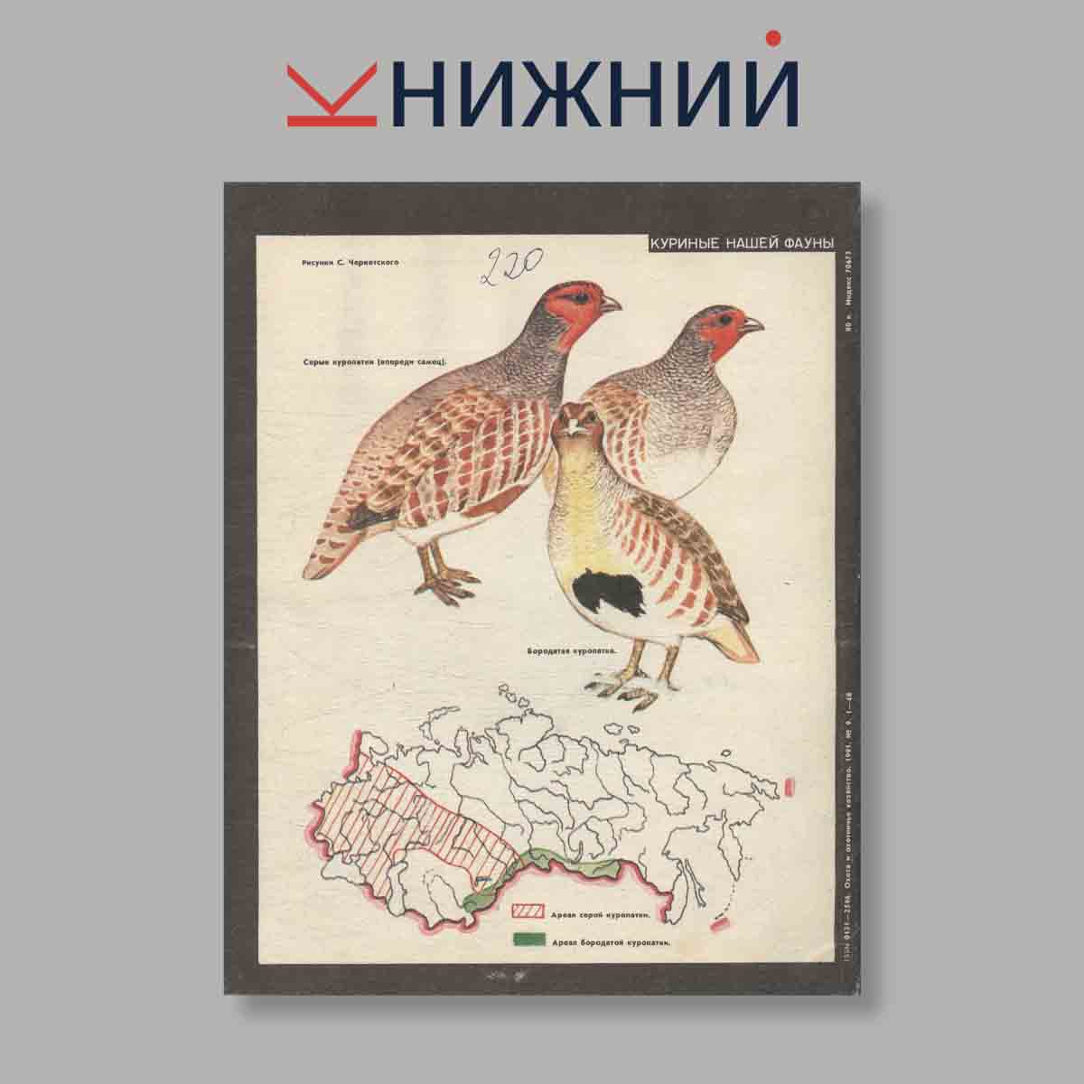 Журнал Охота и охотничье хозяйство. Выпуск № 9, 1991