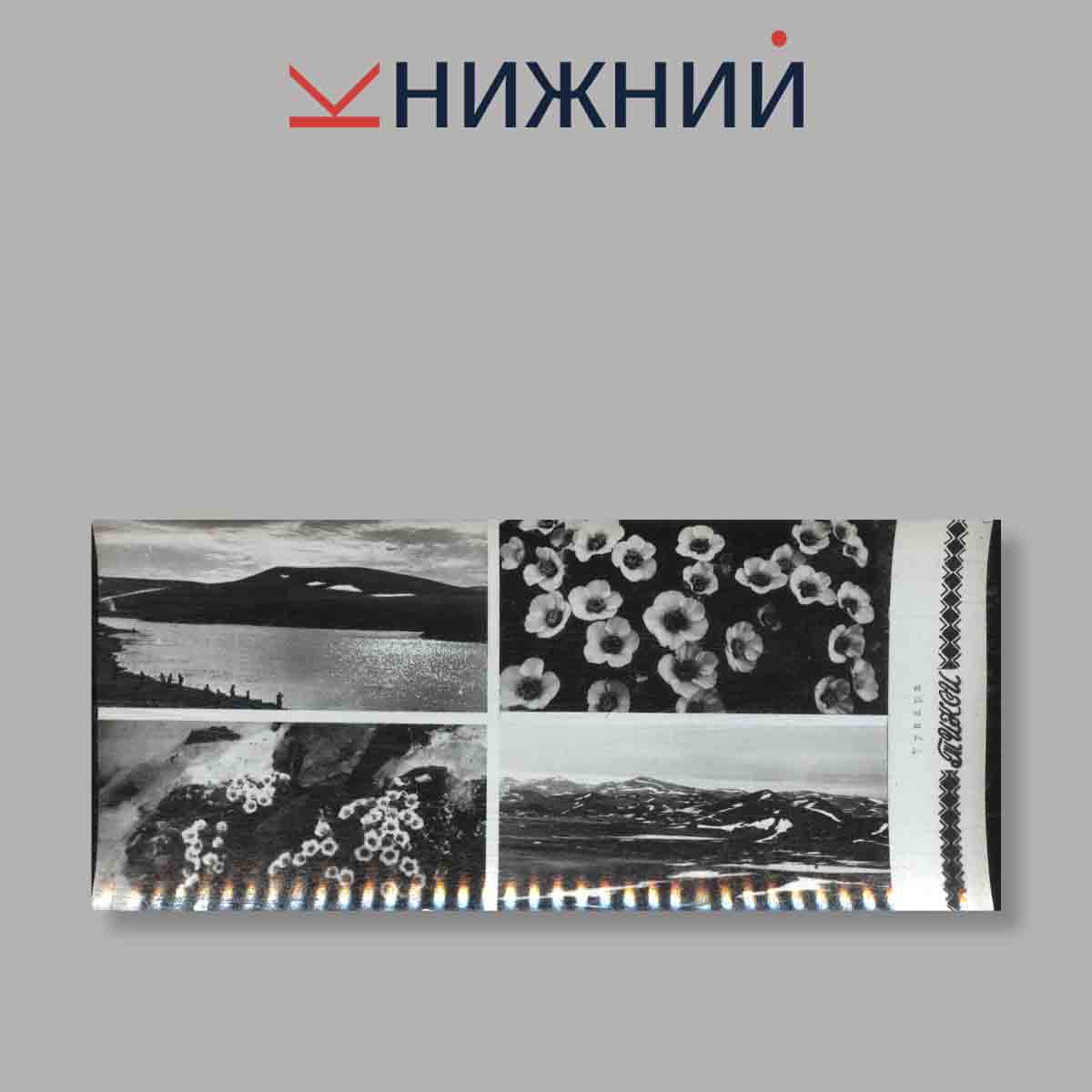 Набор открыток. "Тикси. Арктика"