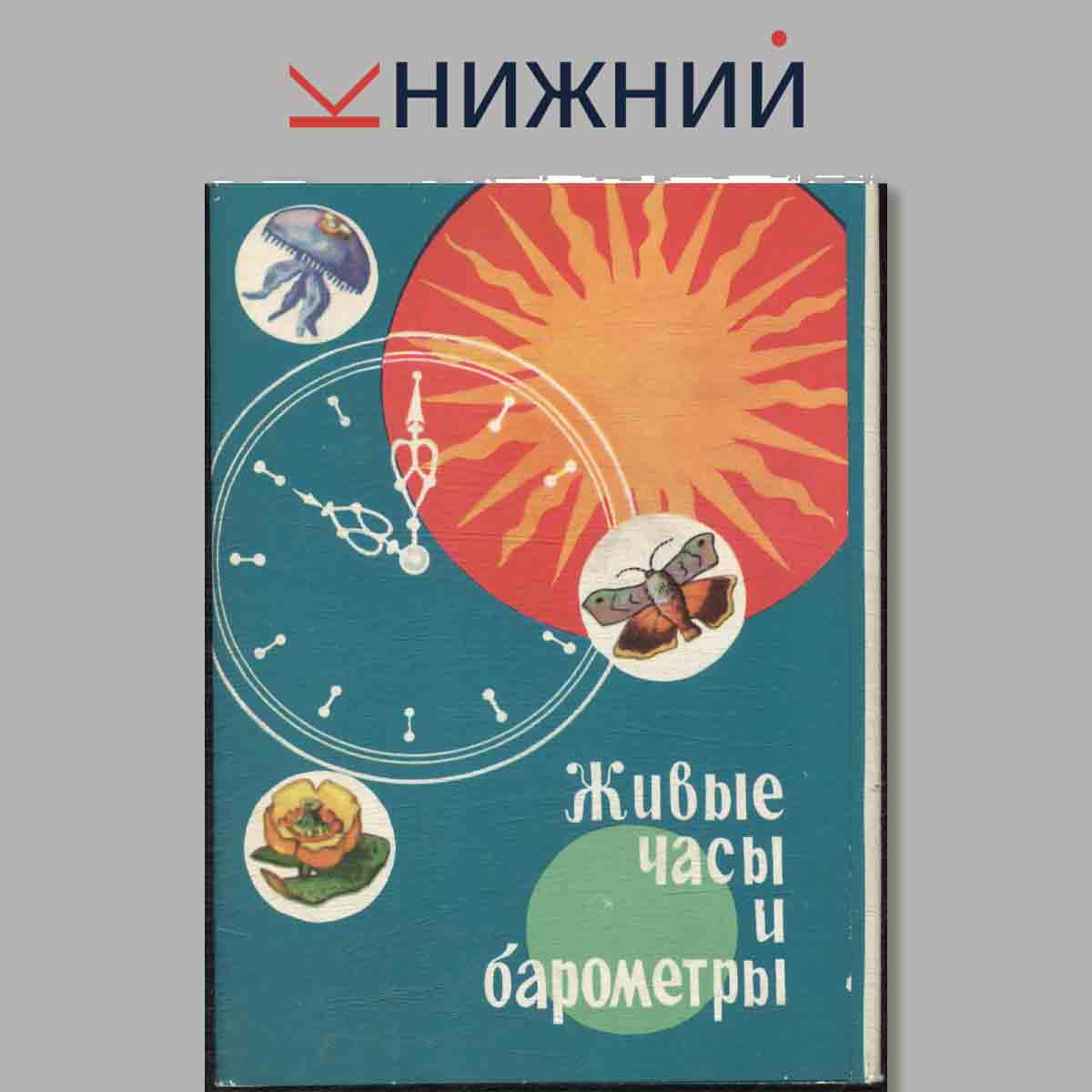 Набор открыток. Живые часы и барометры.