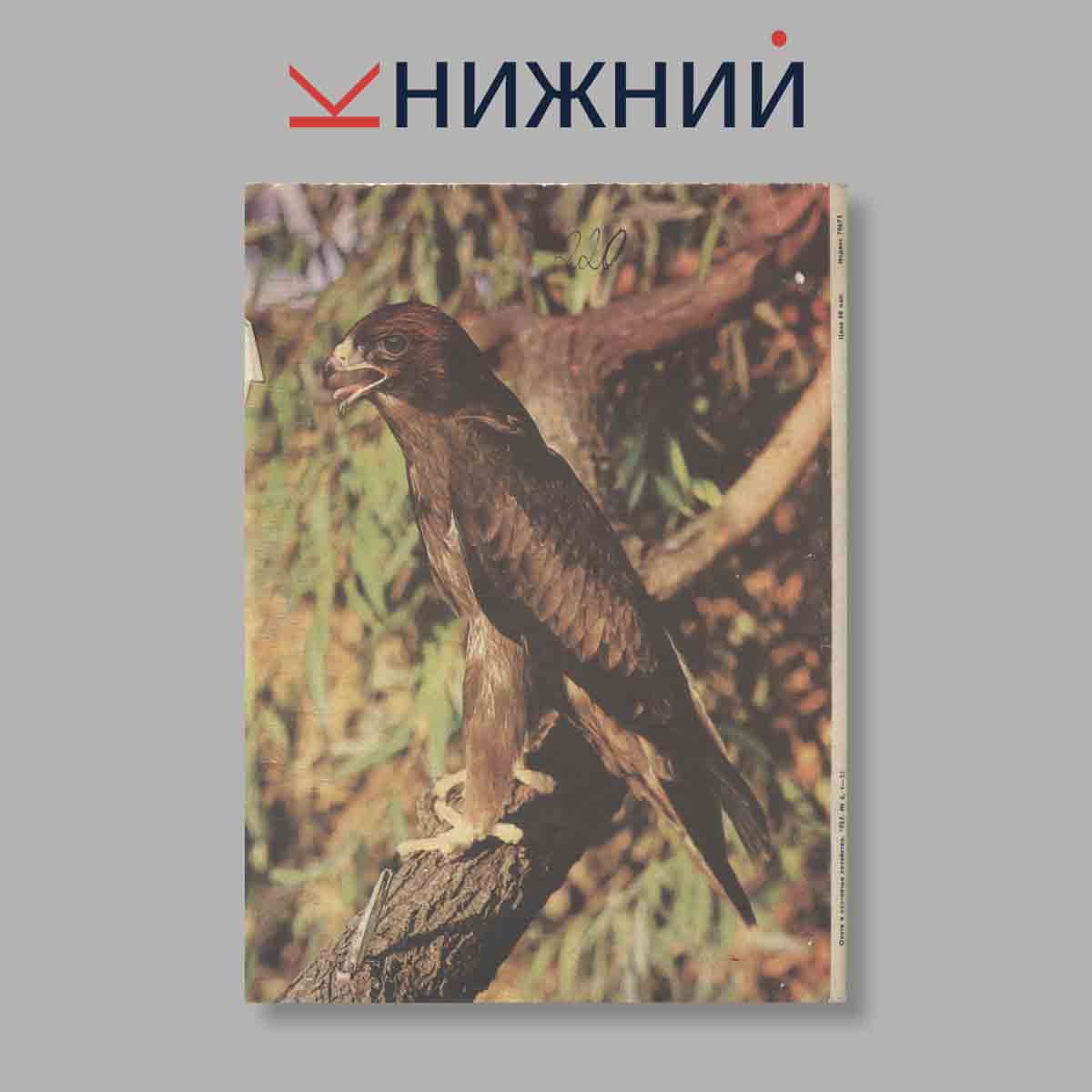 Журнал Охота и охотничье хозяйство. Выпуск № 6, 1985