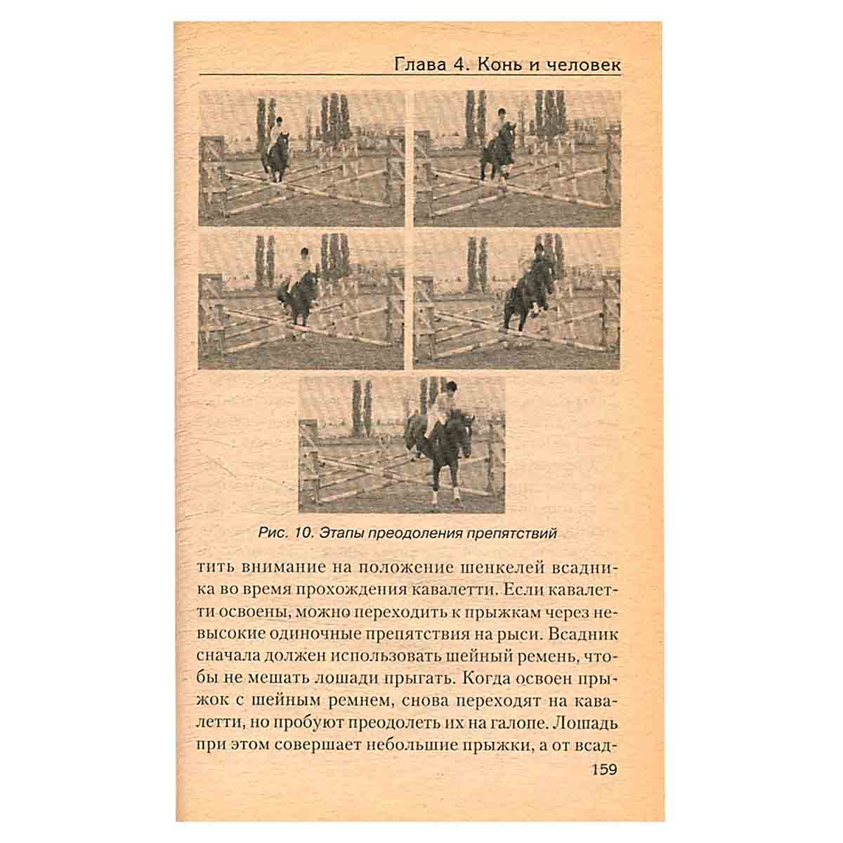 Спортивное коневодство