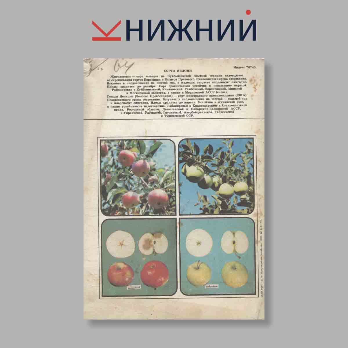 Журнал Приусадебное хозяйство.Выпуск №4 1989 год