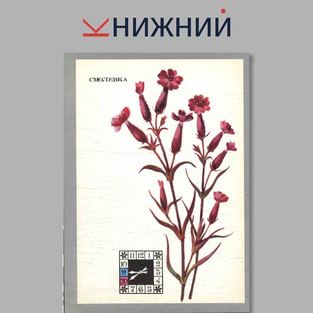 Набор открыток. Цветы-часы.