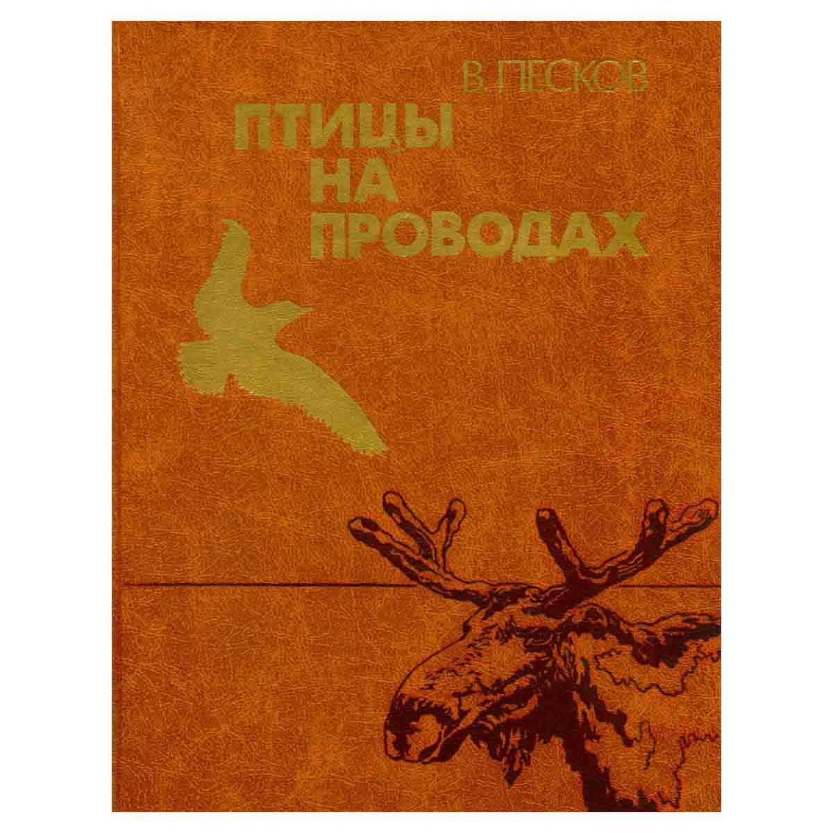 Птицы на проводах