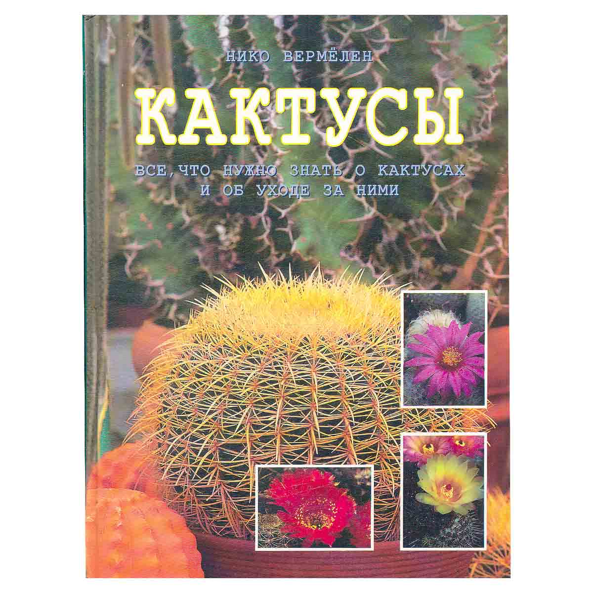 Кактусы
