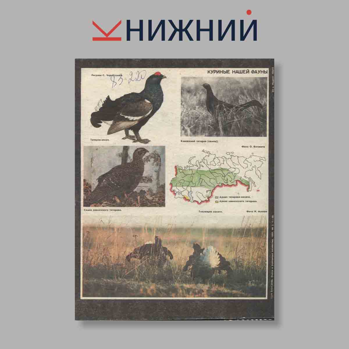 Журнал Охота и охотничье хозяйство. Выпуск № 2, 1991