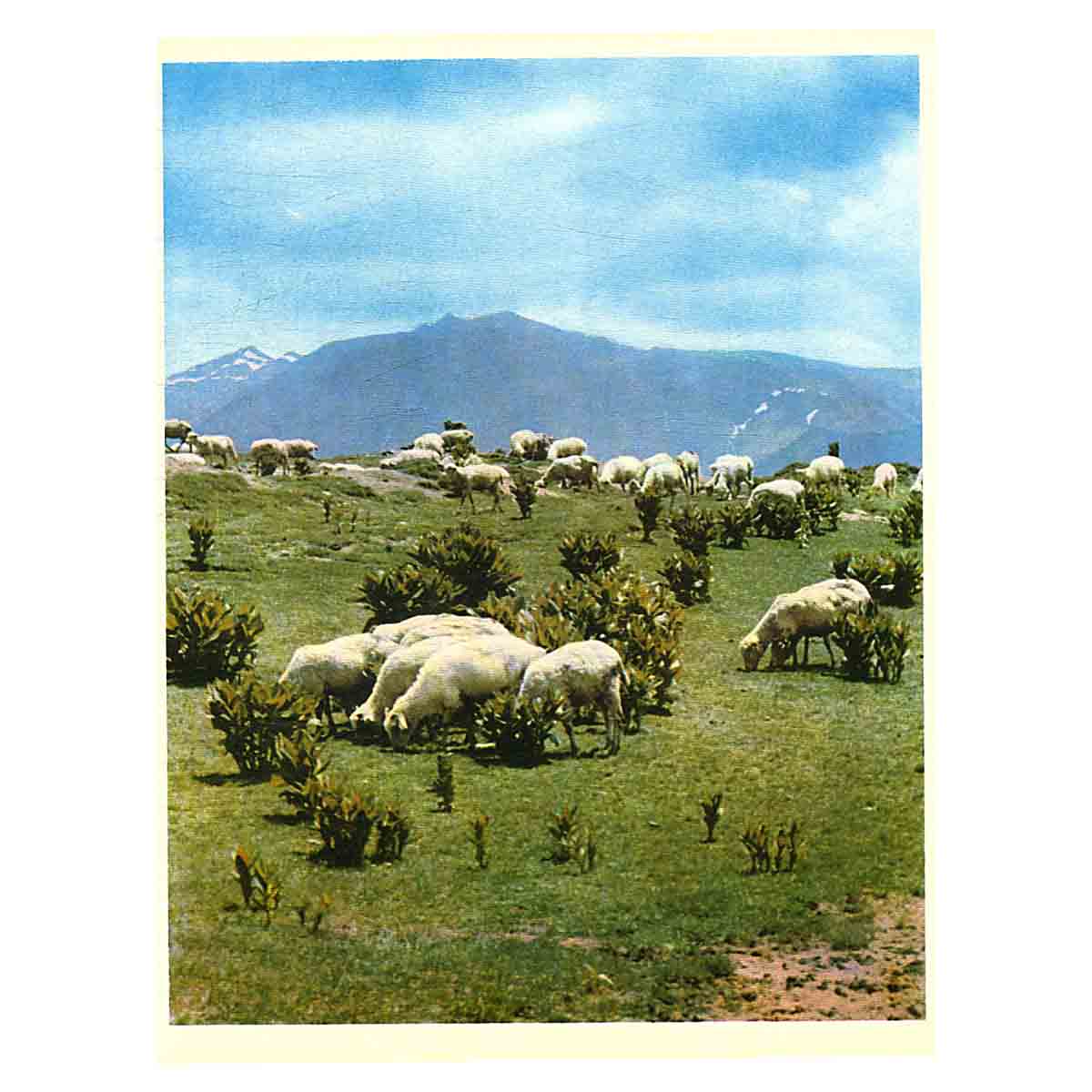 Солнечная Грузия. Фотоальбом