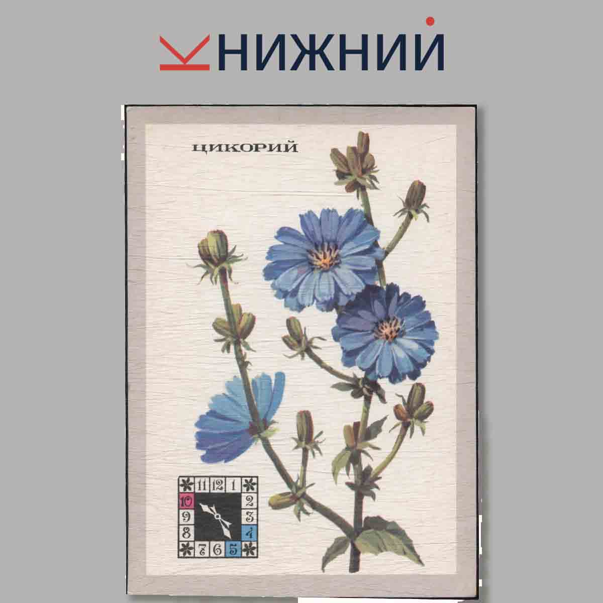 Набор открыток. Цветы часы. 2-е издание.