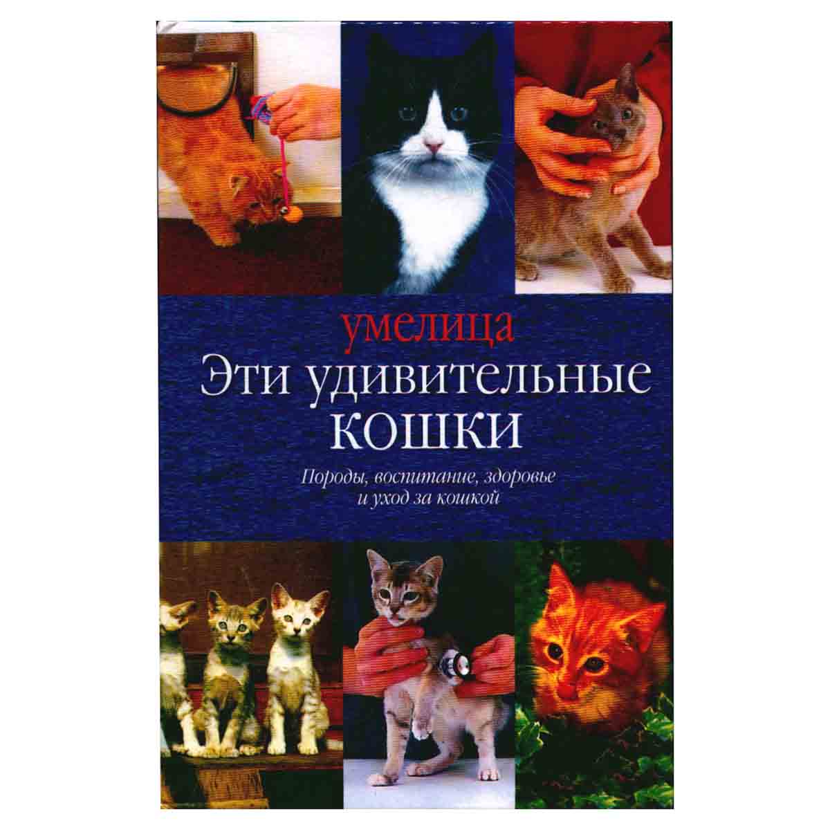 Эти удивительные кошки
