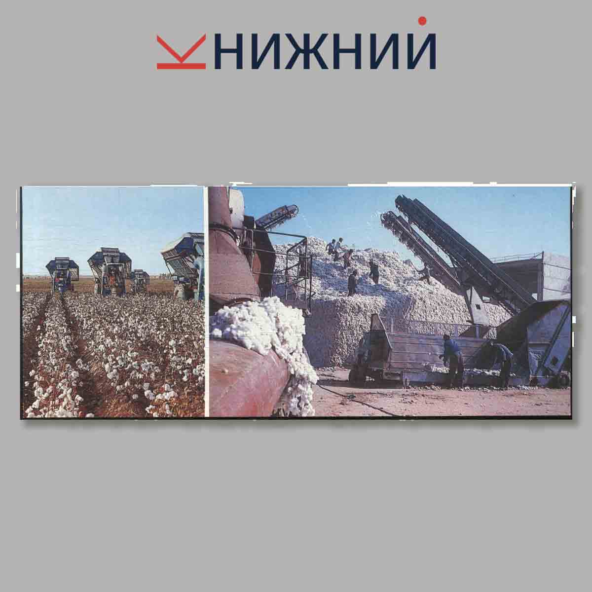 Набор открыток. Таджикская Советская Социалистическая Республика.