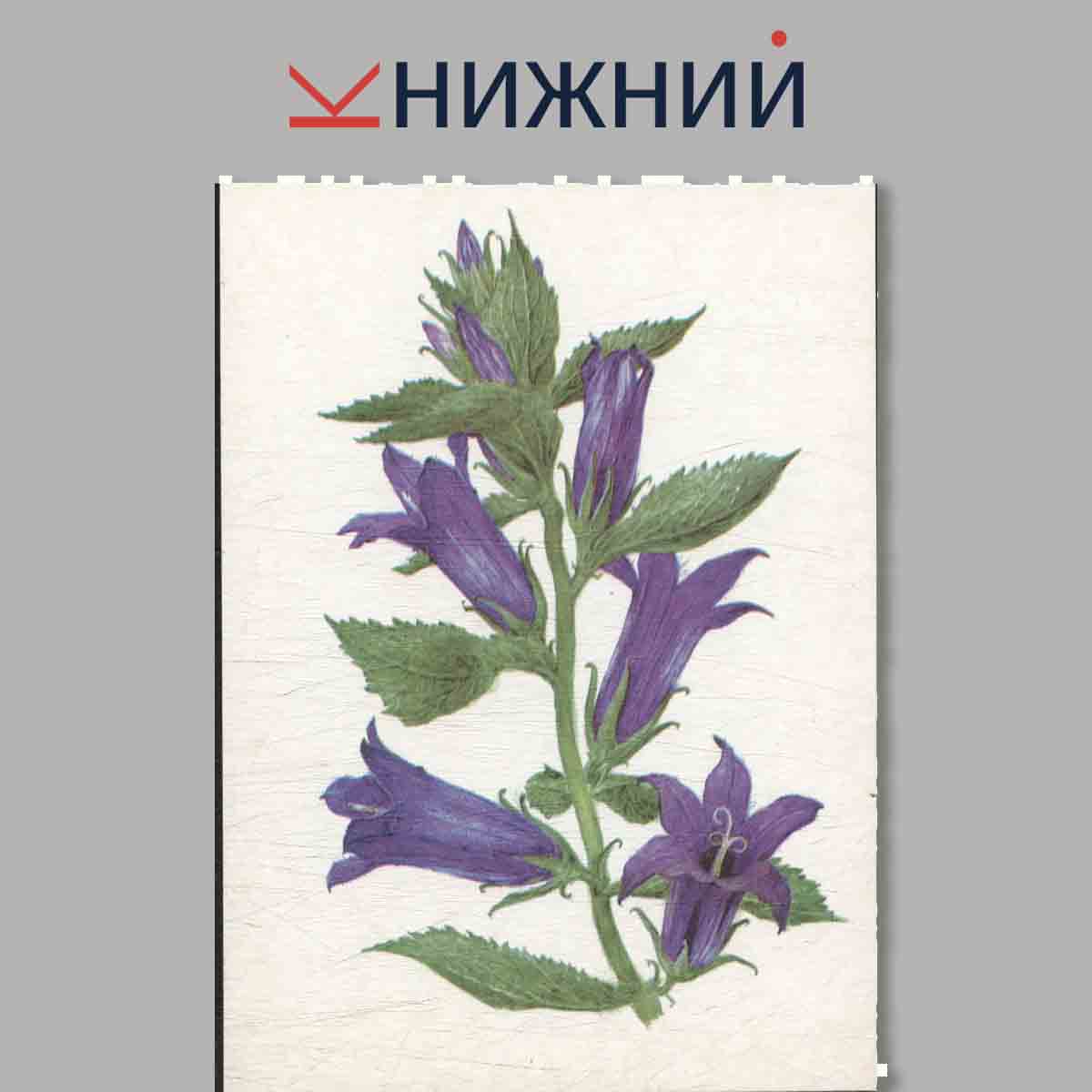 Растения под охраной.