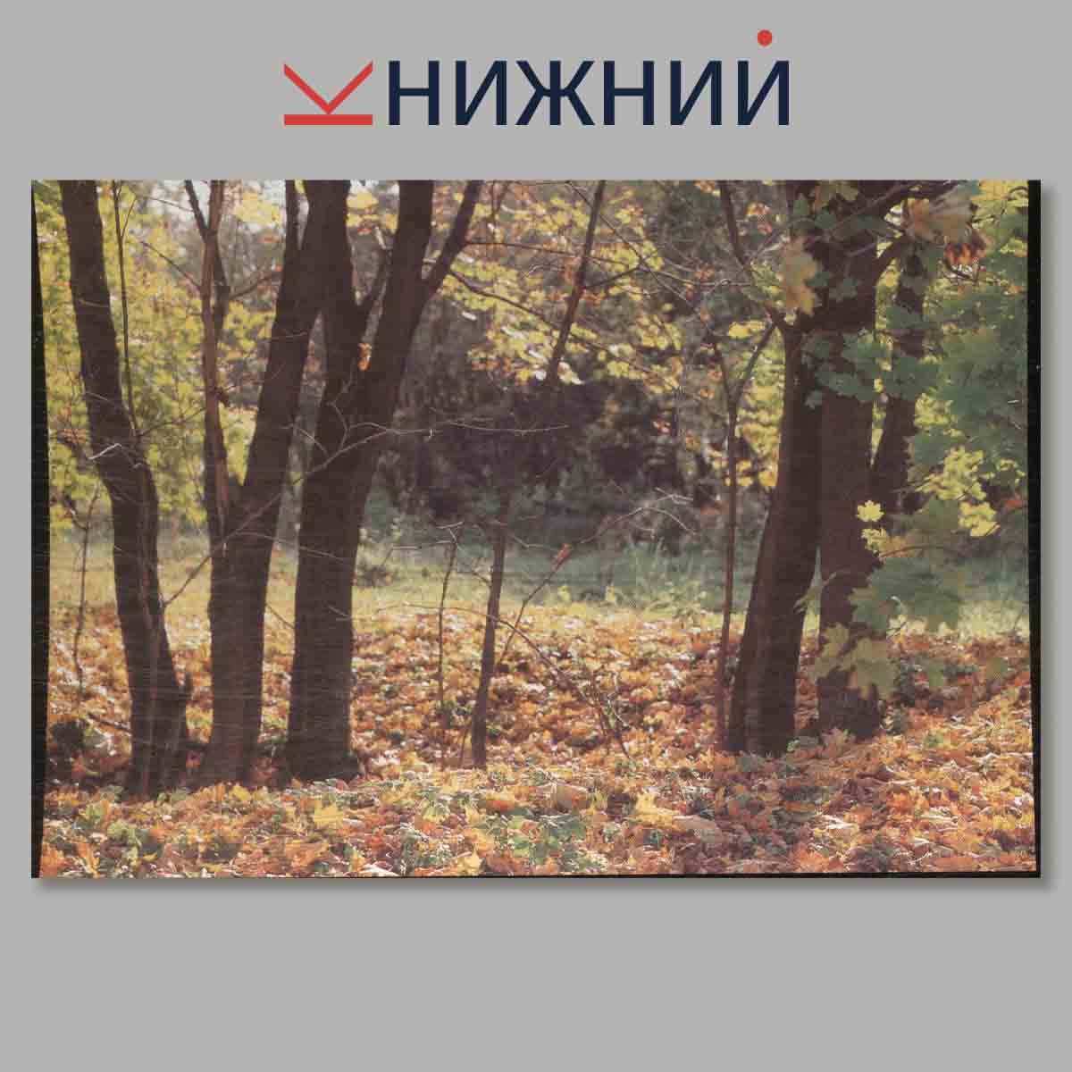 Набор открыток. Малая родина Лескова.