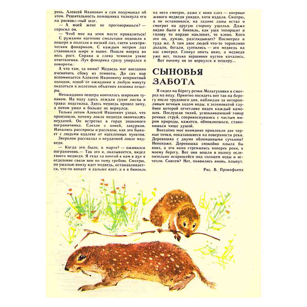 Журнал "Юный натуралист". Выпуск 11 1981 год