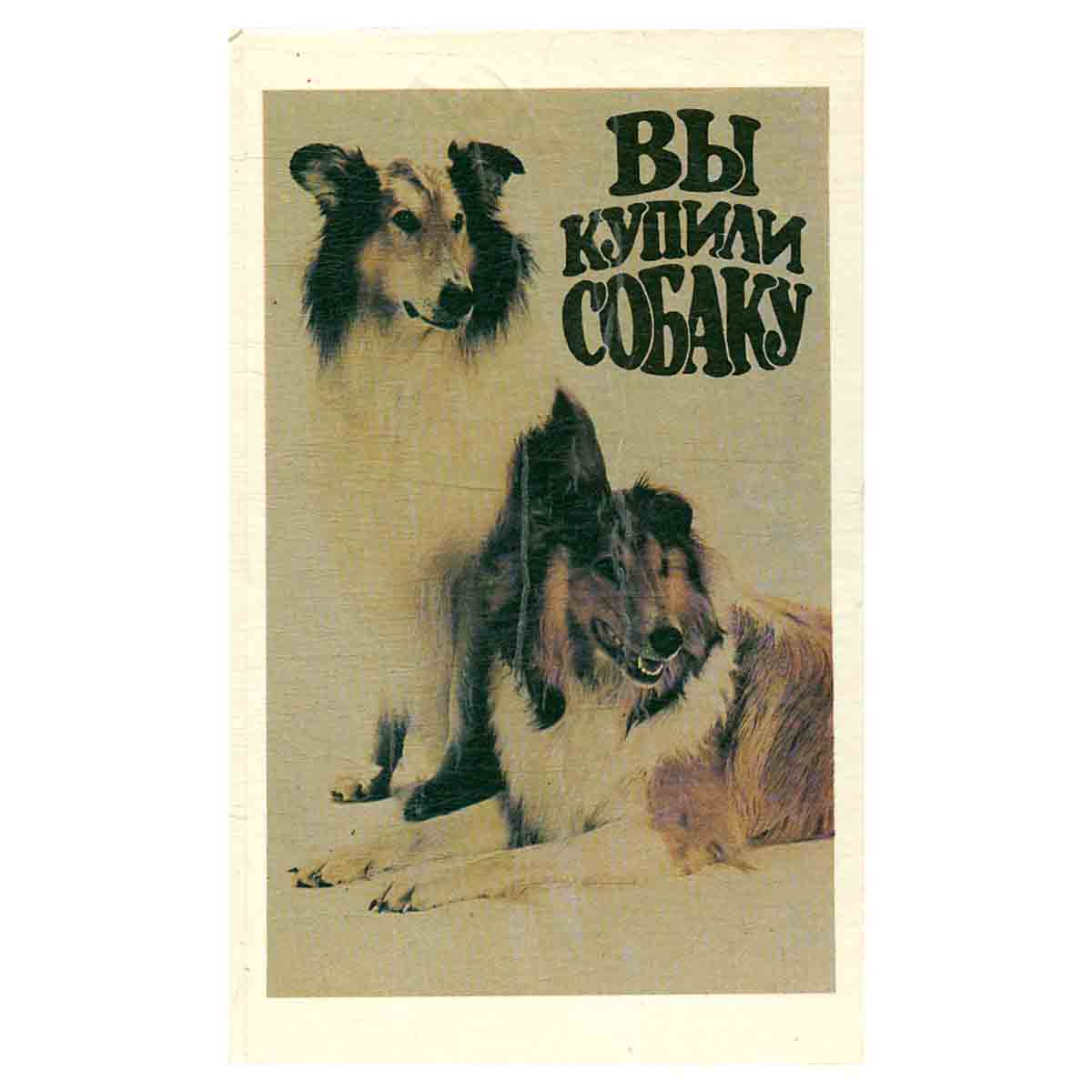 Вы купили собаку