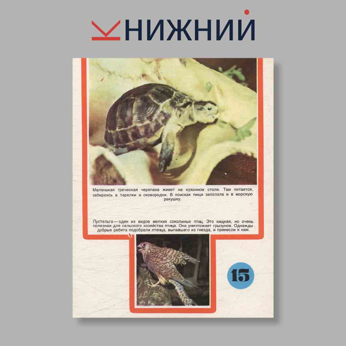 Набор открыток. "Айболит. Живет в Баку"