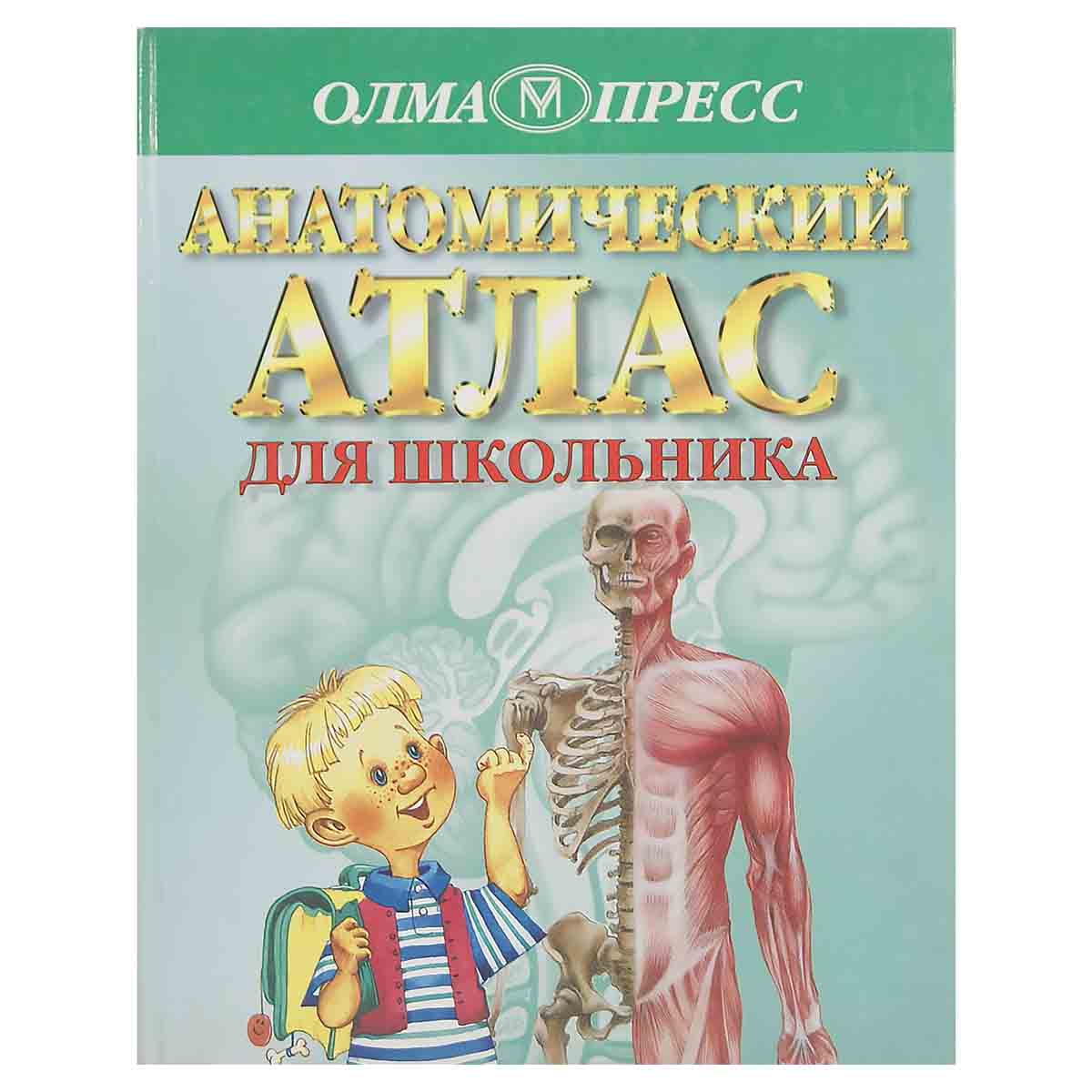 Анатомический атлас для школьника