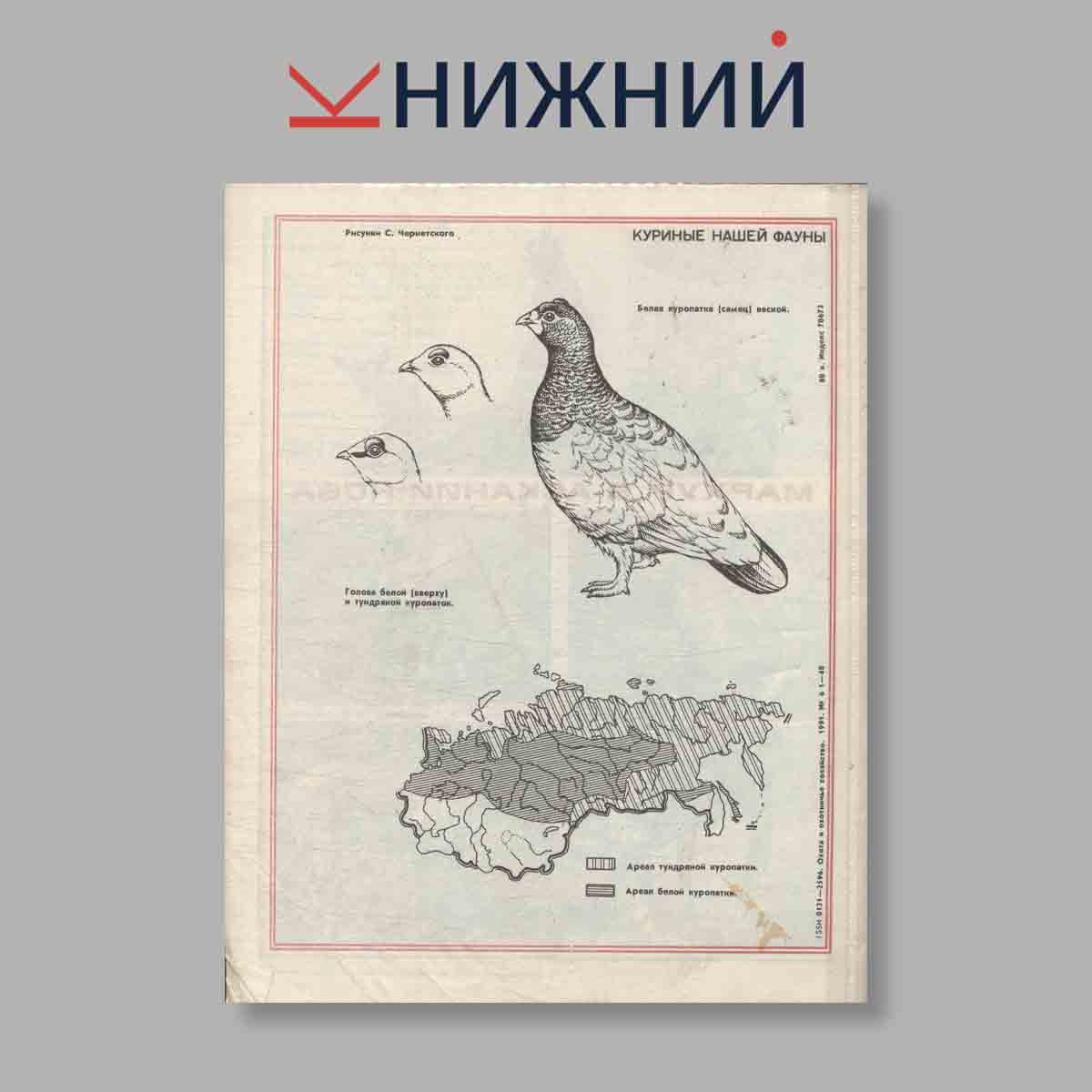 Журнал Охота и охотничье хозяйство. Выпуск № 6, 1991