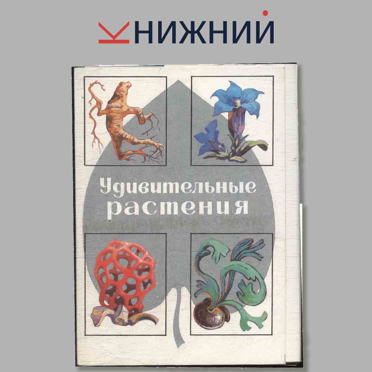 Набор открыток. Удивительные растения. 2-е издание.