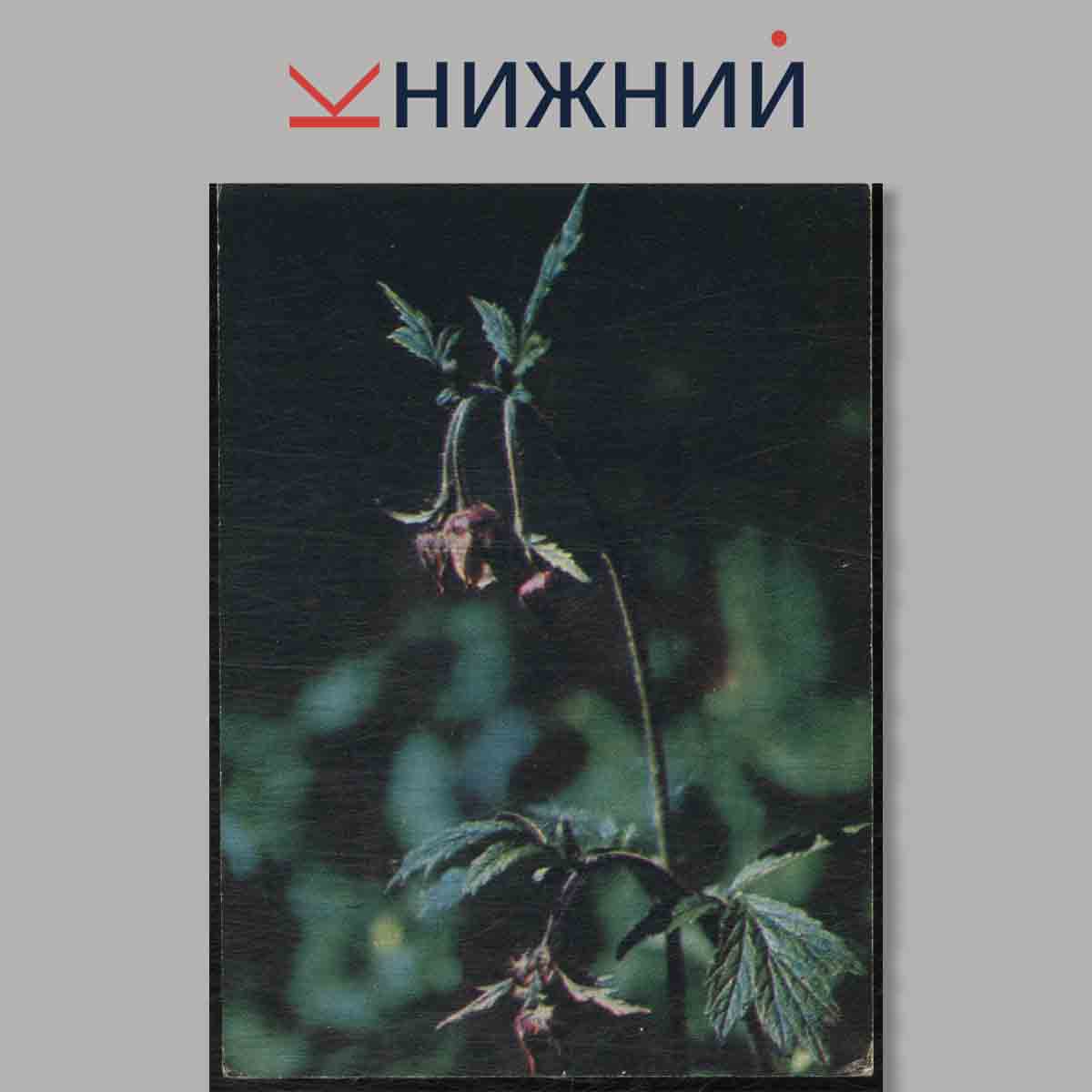 Набор открыток. Экскурсия в природу. Наглядное пособие средних школ. Весна.