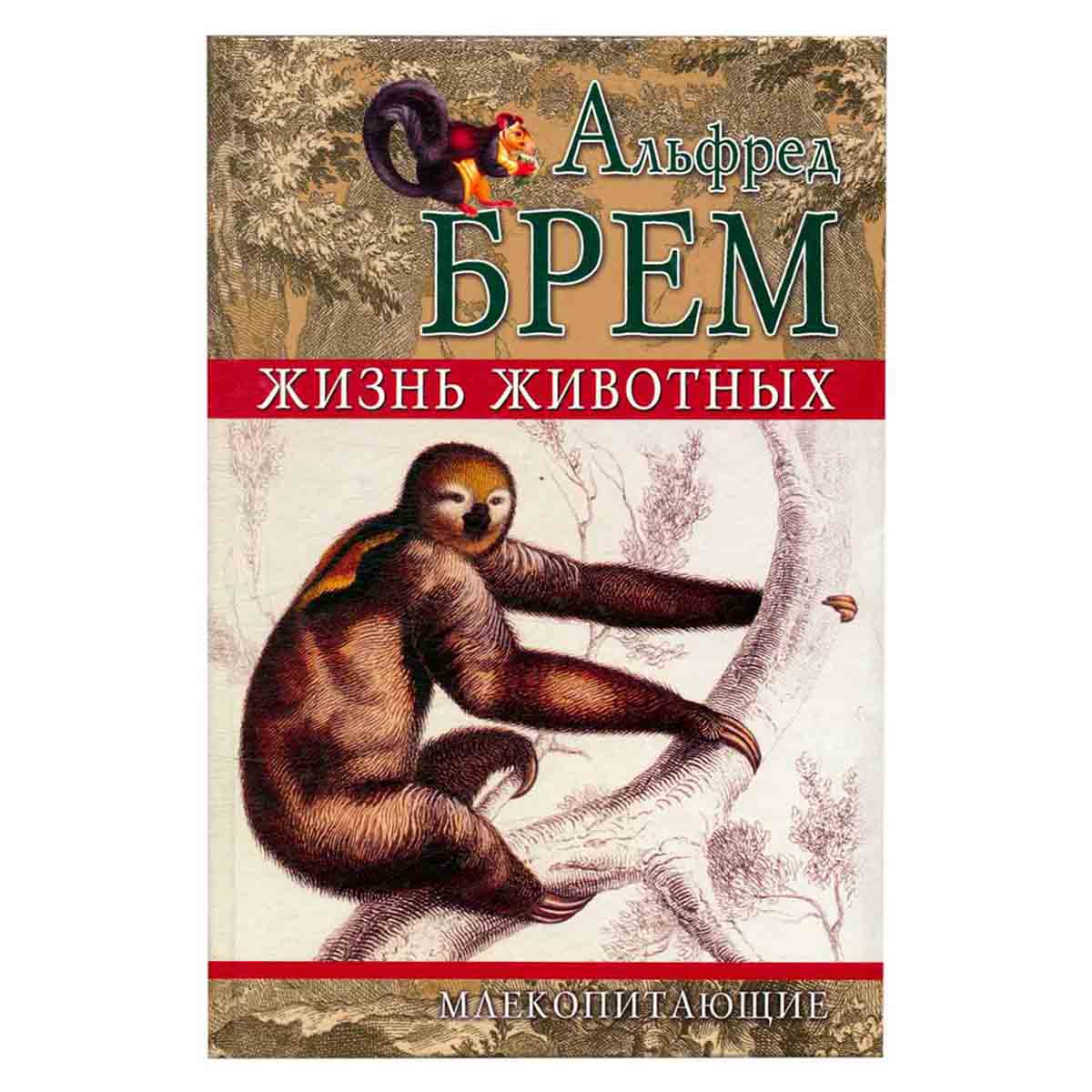 Жизнь животных. Млекопитающие. Том I