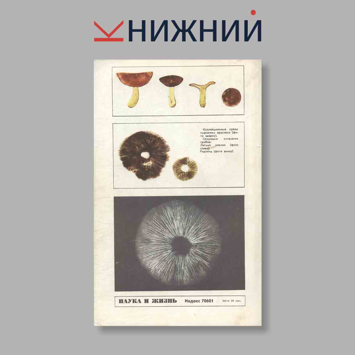 Журнал Наука и жизнь. Выпуск № 5, 1974