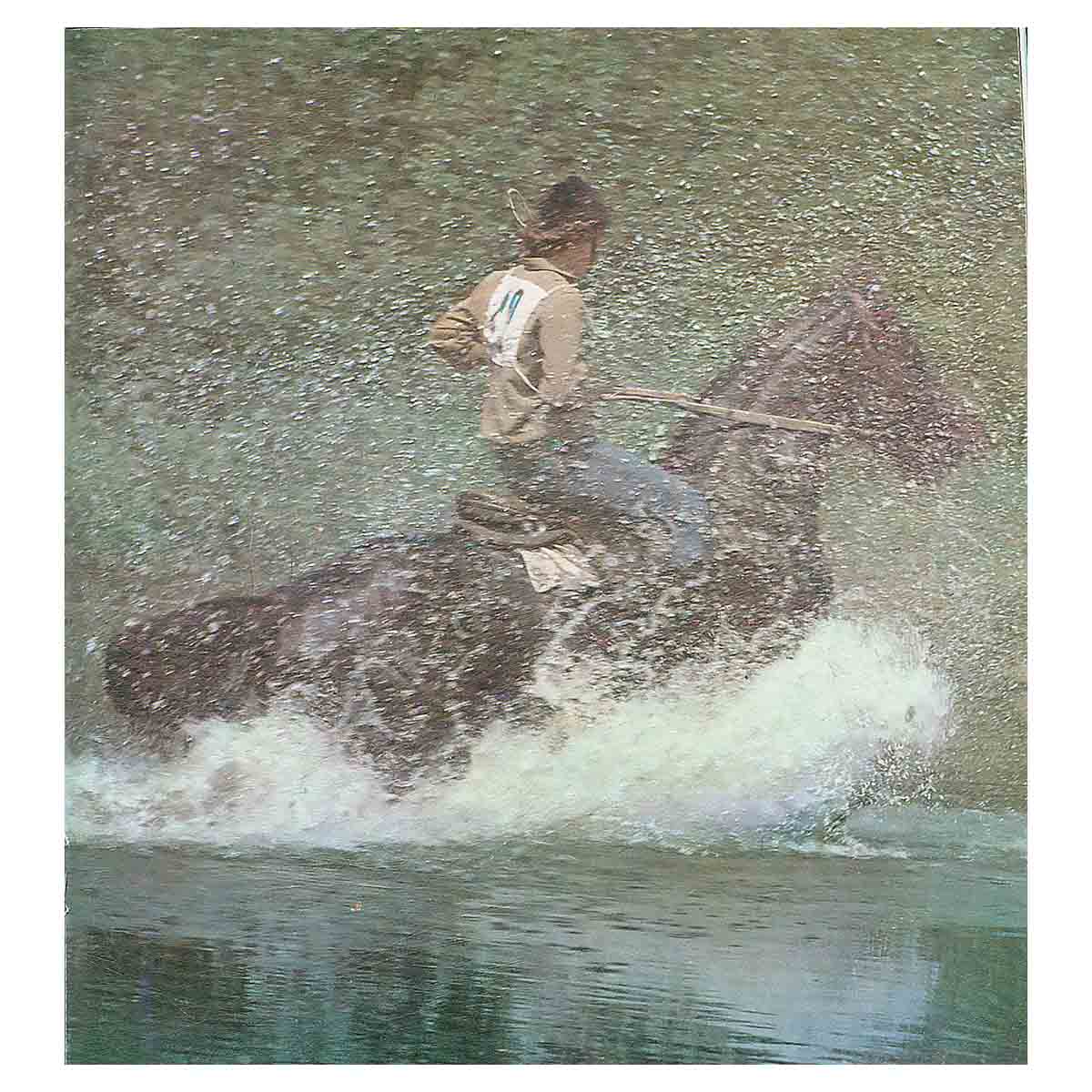 Конный спорт