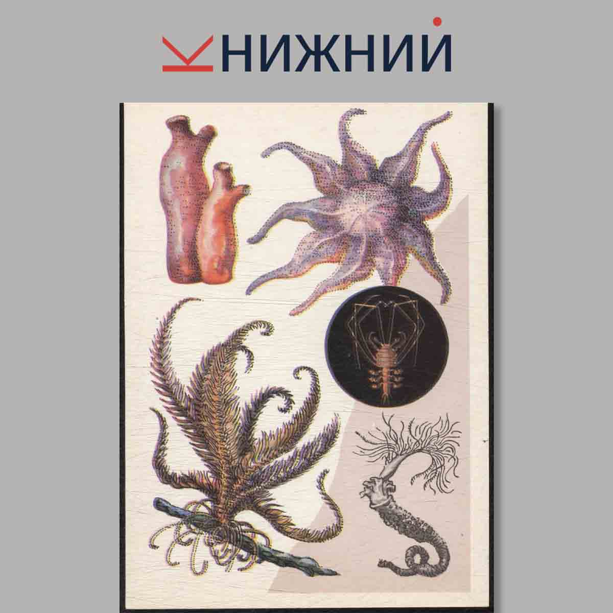 Набор открыток. У моря.
