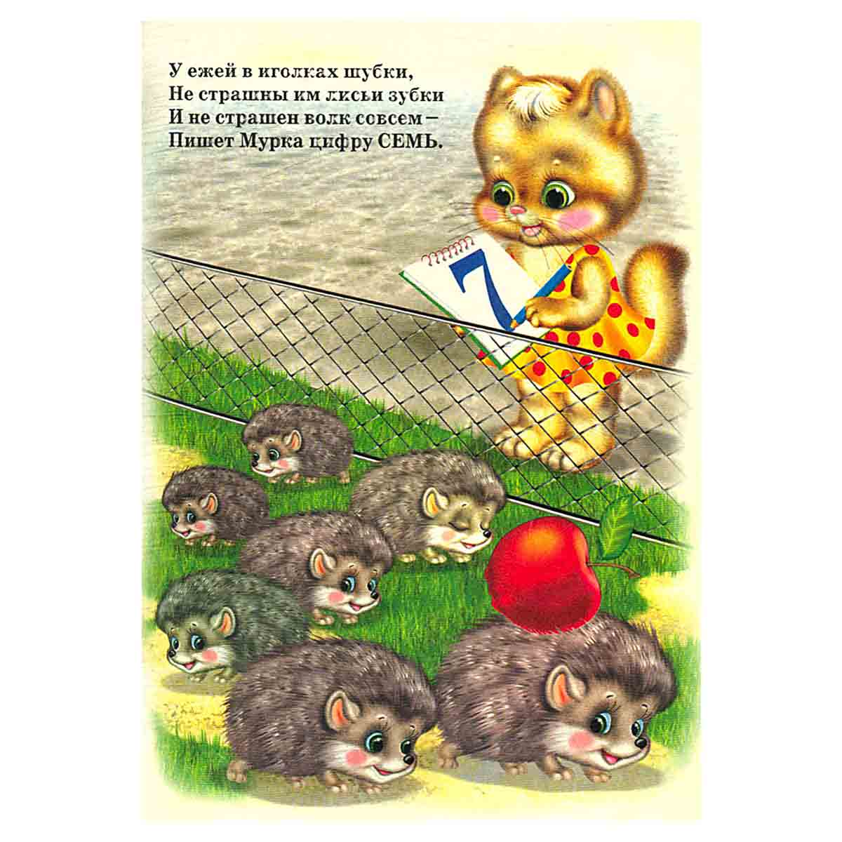 Математика (1)