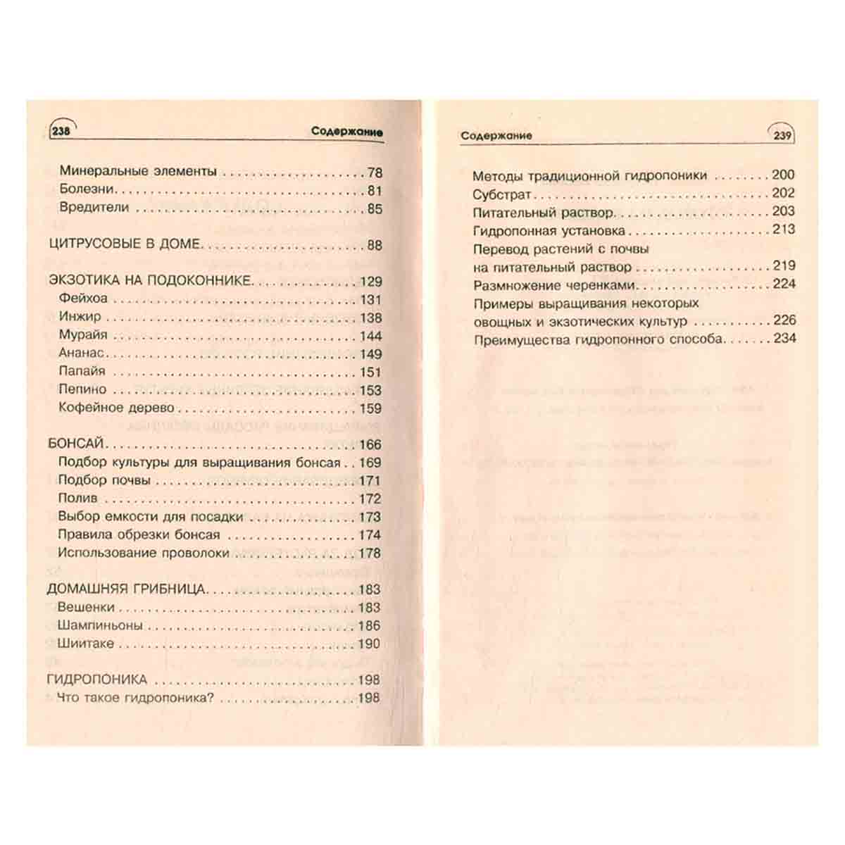 Огород на балконе