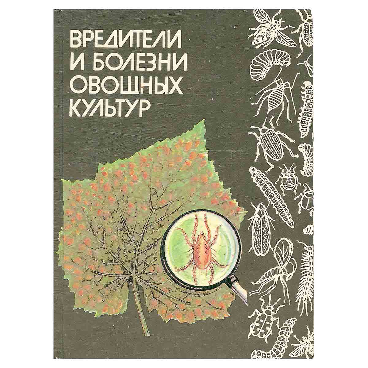 Вредители и болезни овощных культур. Справочник