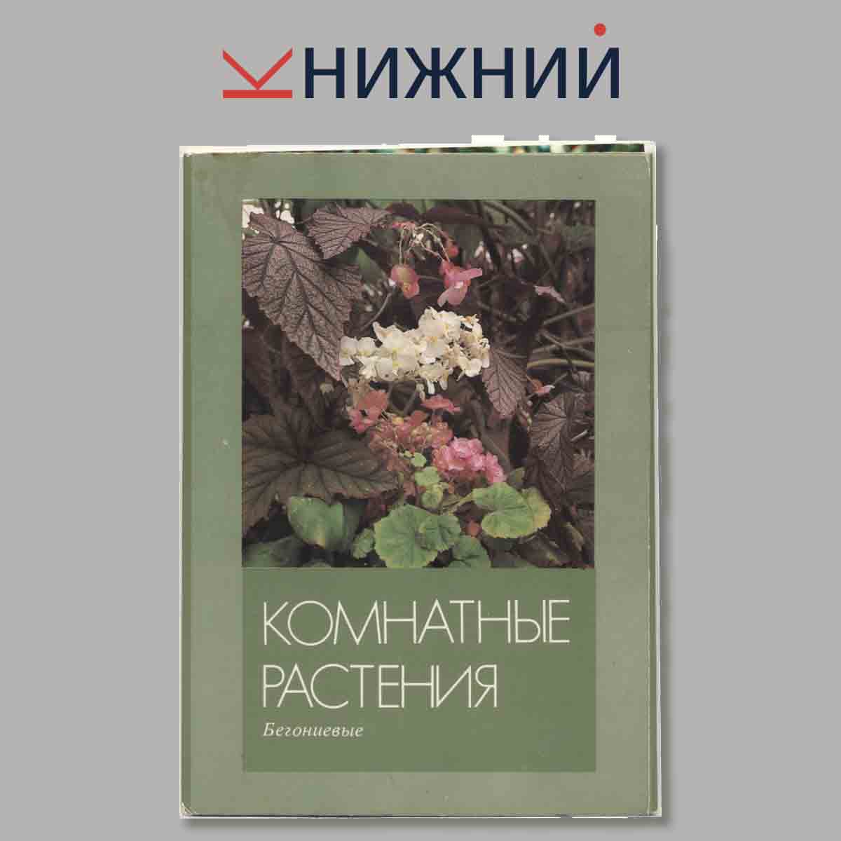 Набор открыток. Комнатные растения Бегониевые.